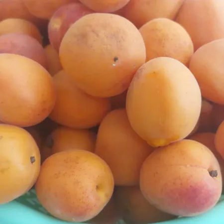 Κάμπινγκ Tiny House Kety Krupa