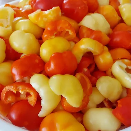 Tiny House Kety Κάμπινγκ *