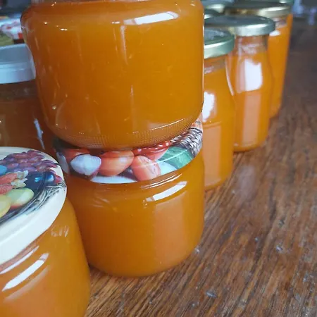 Κάμπινγκ Tiny House Kety