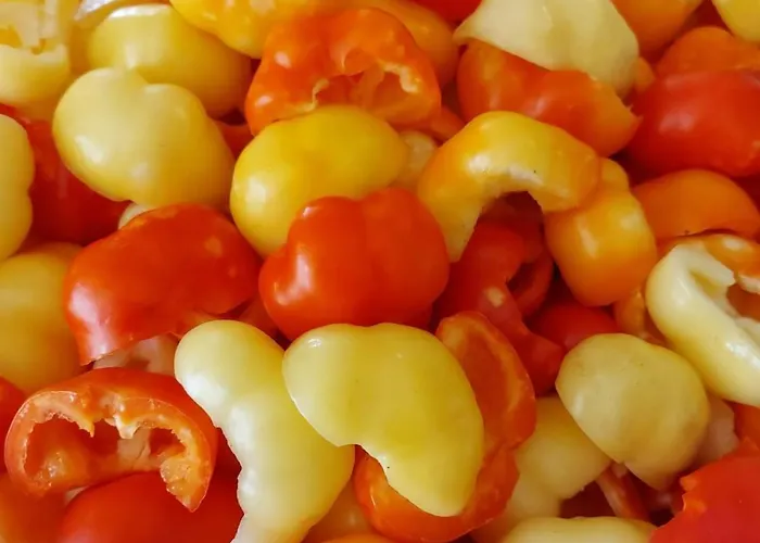 Tiny House Kety Parque de Campismo *